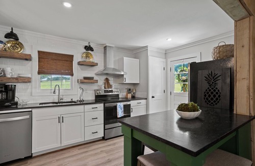 Anderson House | Cottage located on a peaceful cove on Lake Hartwell. Near Clemson and Anderson!