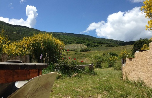 La Rochette-du-Buis House | cottage: nature and lavender