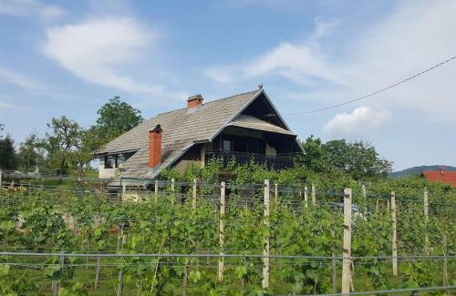 Marindol Apartment | Cottage near river Kolpa, vineyards,top location.