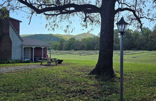 Brightwood Cottage | Cottage near Shenandoah NP, hiking, breweries and wineries, and great dining