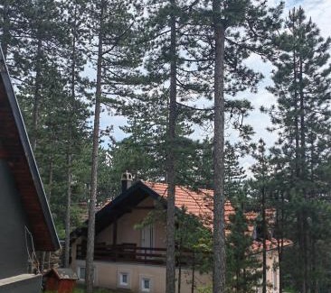 Bajina Basta Apartment | Cottage Nena Tara