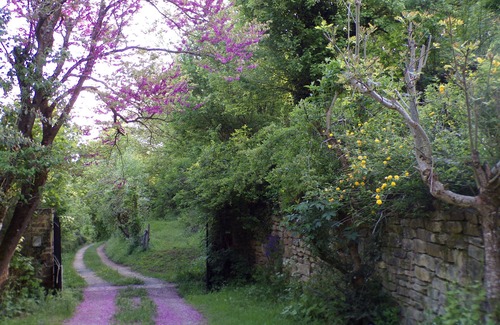 Marvejols House | COTTAGE OF LIRIO DU GEVAUDAN FULL HEART OF LOZERE IDEAL FOR 10/12 ADULTS