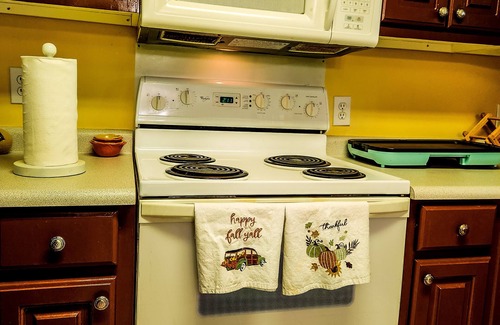 Gumlog House | Cottage on Lake Hartwell! Cozy fireplace, wooded trail to dock, & dog friendly!