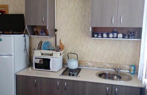 Salsk Apartment | Cottage on Lenina 10