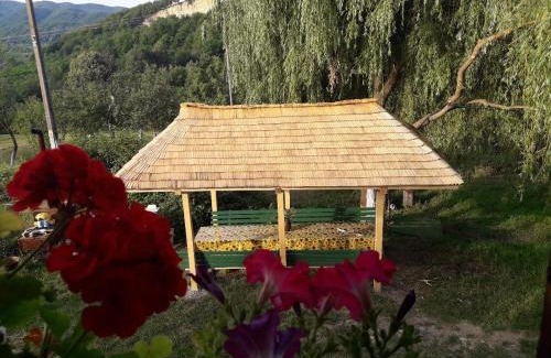 Campulung House | Cottage Poe