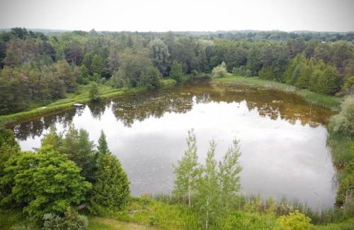 Flesherton House | Cottage Retreat on 11 Acres