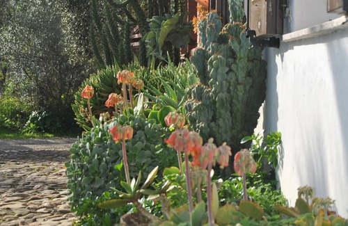 Villamassargia Ski Chalet | Cottage set in an oasis of peace and nature, 5 persons, 2 bedrooms 2 bathrooms