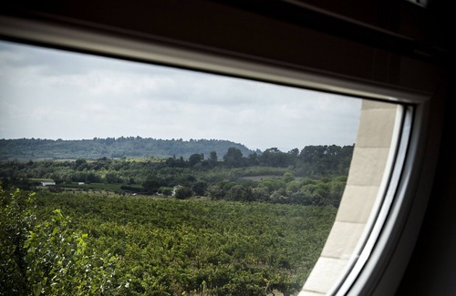 Villegailhenc Cottage | Cottage "Syrah" Domaine de Cazaban - view of the vineyards