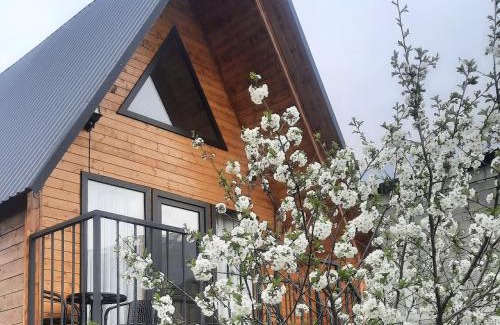 Ach'khoti House | Cottage THORI Stephantsminda,Achkhoti