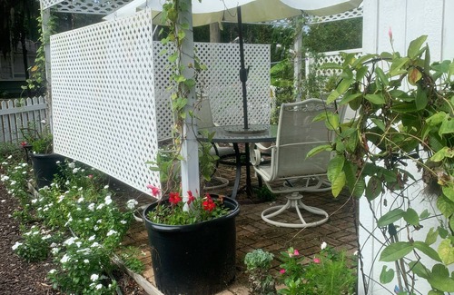 Pigeon Point Apartment | Cottage/Tiny House Living Accommodation in Beaufort for Cost-conscious Traveler