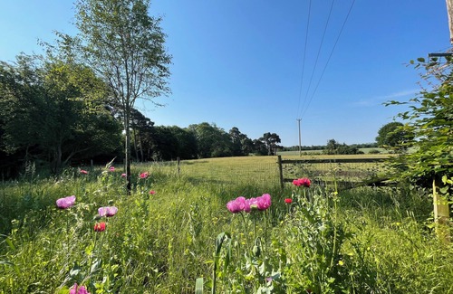 Henley Cottage | Cottage With Beautiful Garden, 7 Mins From Henley-on-thames