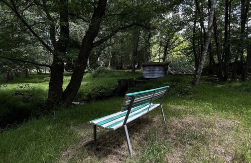 Puy-Saint-Gulmier House | Cottage with private pond in lush greenery 35 minutes from Vulcania