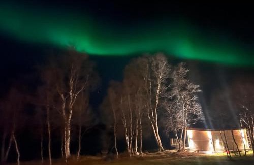Neiden House | Cottage with good standard next to Neiden river