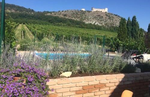 Pavlov House | cottage with private swimming pool