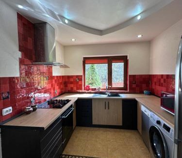 Yaremche Villa | Cottage Zelman