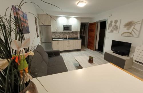 Valle de Guerra Apartment | Cotufa Garden