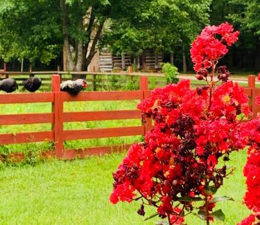 Washington Bed & Breakfast | Coulter Farmstead