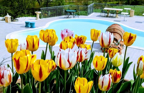 Sant'Andrea del Garigliano House | Country House Bosco d'Olmi