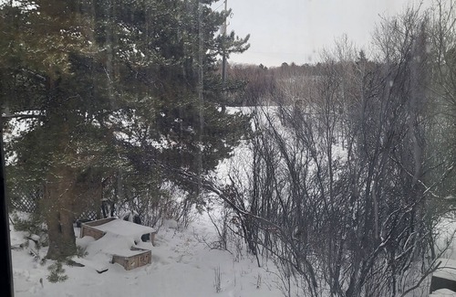 Saskatoon Condo | Country Apartment