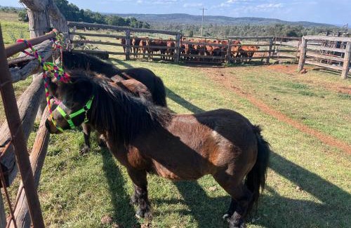 Coolabunia House | Country charm on acreage
