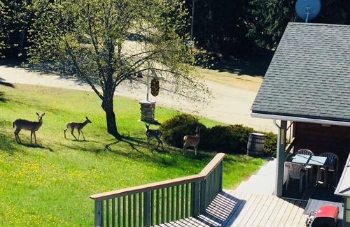 Valemount Cabin | Country Comfort! Rustic Lodge - spacious and well equipped !
