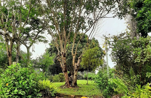 Imbil House | Country Cottage in Imbil (Mary Valley)