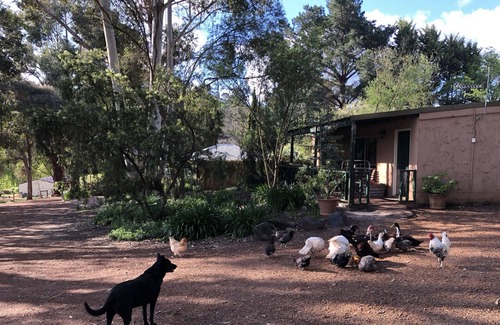 Bridgetown Cabin | Country Cottages of Bridgetown