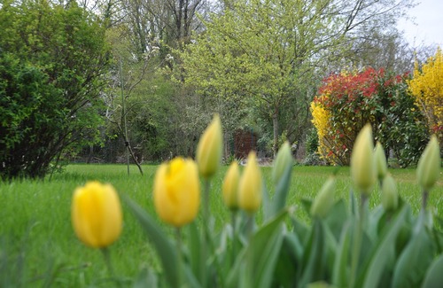 Couilly-Pont-aux-Dames Cottage | Country house near Disneyland Paris