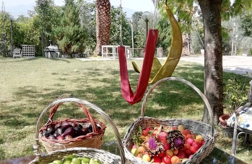 Monsampolo del Tronto House | Country house in the hills 8 km from St. Benedict of T. Mediterranean Atmosphere