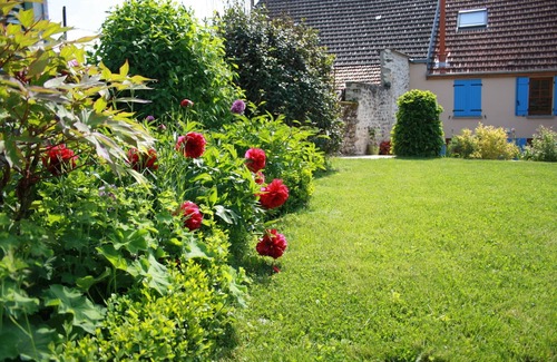 Trelou Sur Marne Cottage | country holiday home - in Champagne - Trélou sur Marne