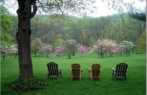 Foxcroft Square House | Country Home & Studio/Pool House nestled in a 1,000 acre Nature Reserve