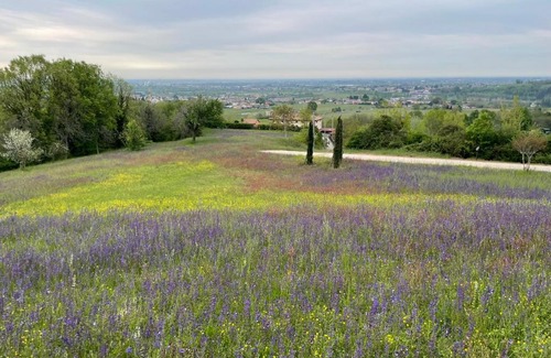 Susegana Cabin | Country House Accommodation on Dreamway Path - Colfosco di Susegana TV, Veneto, Italy