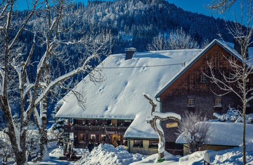 Hinterzarten Apartment | Country house Amselhof Hinterzarten Maisonette 1