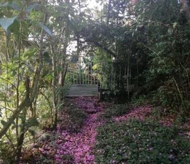 Chulumani Bed & Breakfast | Country House Chulumani