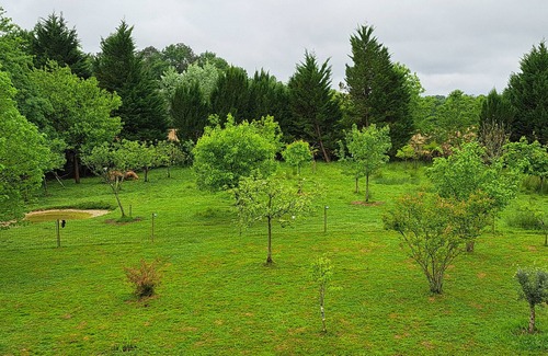 Pouillon House | Country House 'Domaine Baraque' with Mountain View, Wi-Fi and Air Conditioning