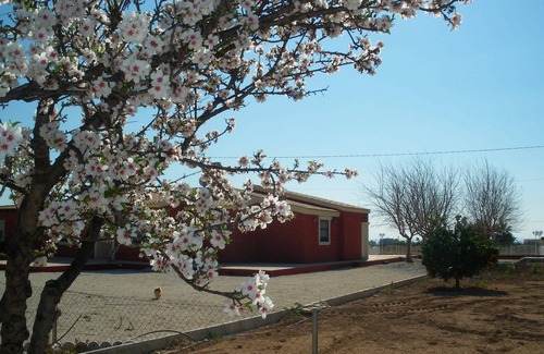 Elche House | COUNTRY HOUSE FOR SUMMERING, HIBERNATING OR EVENTS. CAPACITY FOR 12 GUESTS.