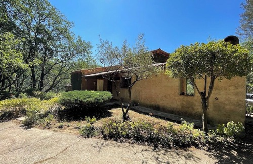 Castelli House | Country house in a natural wooded setting in a 3-hectare park