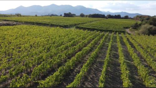 Galluccio Bed & Breakfast | COUNTRY HOUSE LE VIGNE b&b