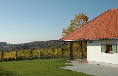 Moravske Toplice House | Country house Martinova Klet