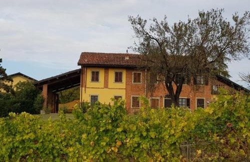Quargnento Apartment | Country House Mimosa - Relax in jacuzzi tra i vigneti