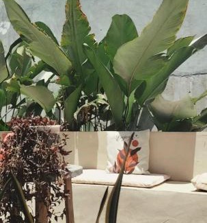 Santa Catalina House | Country house