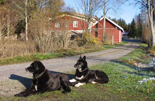 Sastamala House | COUNTRY-HOUSE "PEHTOORINPIRTTI" (PP) near TAMPERE REGION