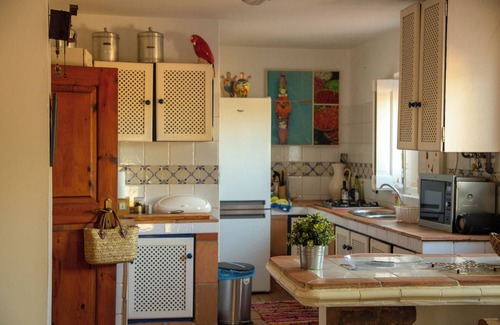 Alvito House | Country House "Quinta do Céu - Refuge in Alentejo," an Idyllic Setting