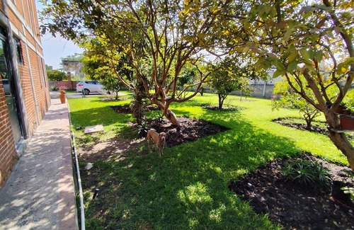 Ayala House | Country house with pool! Everything you need!