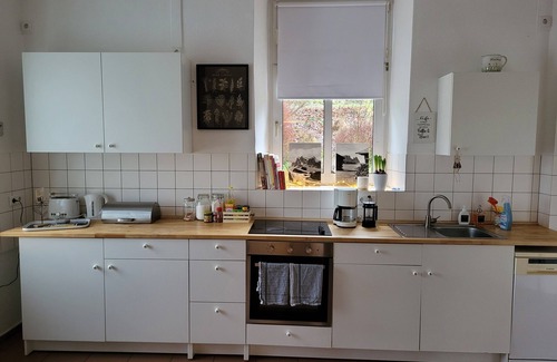 Halver Villa | Country idyll, child-friendly, minipigs, ponies, up to 14 people