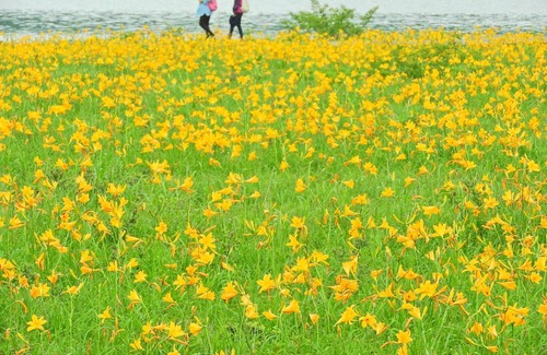 Kitashiobara Hotel | Country Inn Mori no Gorilla