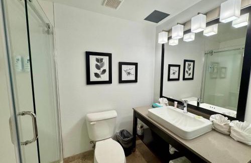 Port Charlotte - Charlotte Harbor Hotel | Country Inn & Suites by Radisson, Port Charlotte, FL