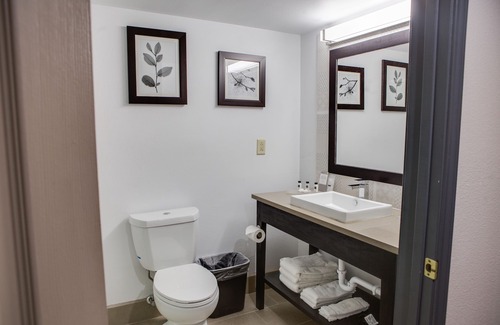 Harlingen Hotel | Country Inn & Suites by Radisson, Harlingen, TX