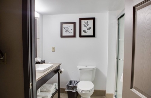 Harlingen Hotel | Country Inn & Suites by Radisson, Harlingen, TX