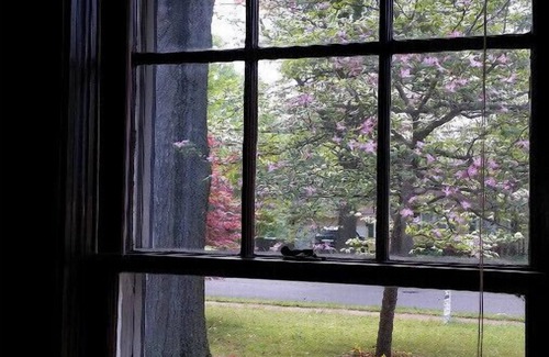 Ellendale House | Country Living in the City, Relax!